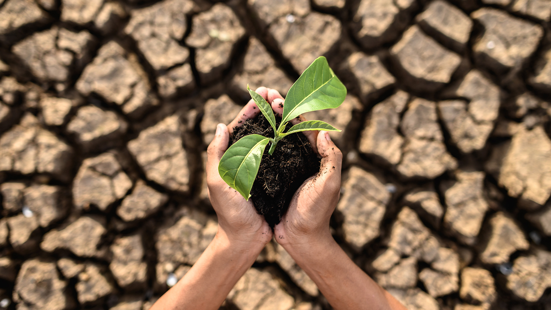 Perubahan Iklim dan 1.5 Derajat Celsius: Kenapa Kita Harus Peduli